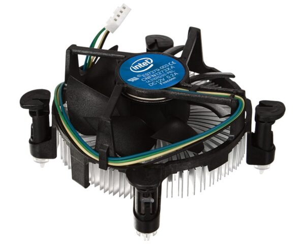 03072025686651b6a8c6c