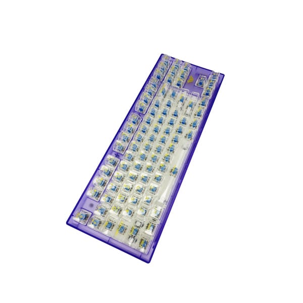 04082025689089c33e3d2