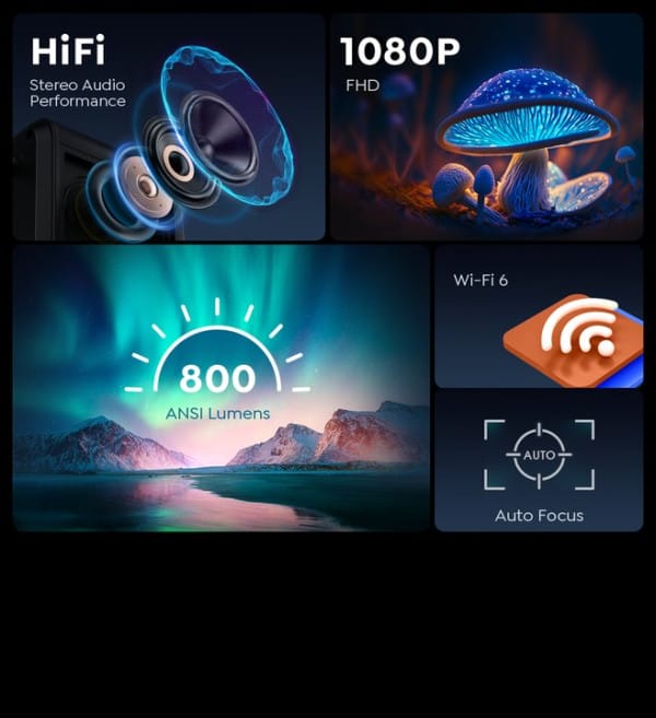 0408202568908d5481375