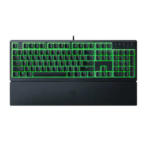04082025689095dd7d984