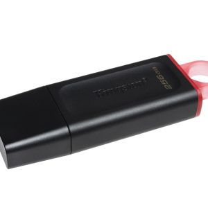 Kingston 256GB DataTraveler Exodia USB 3.2 Gen1 DTX/256GB - Slika 1