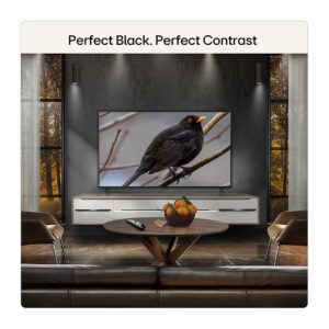 LG BG Televizor LG OLED55B6ELC - Slika 3