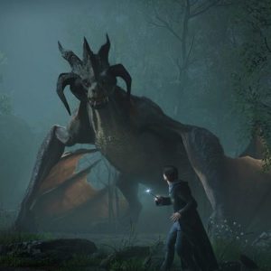 Warner Bros PS5 Hogwarts Legacy - Slika 4